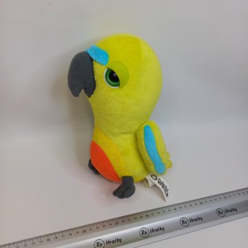 Papoušek Lori